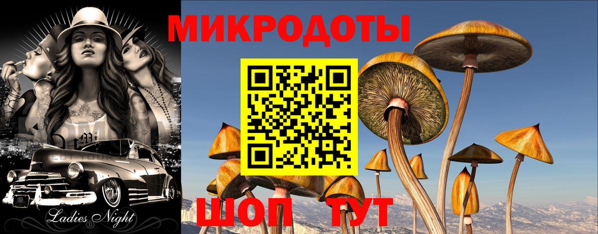 Псилоцибиновые грибы MAGIC MUSHROOMS Воркута